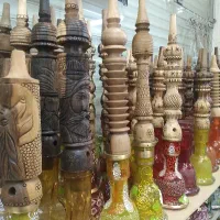 تنوع تنه ازنقلی تا ۶۰سانت