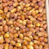 راهنمایی خرما زاهدی