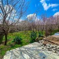 زمین ملکی شاهنامه خودرو چینی رنگدار وارداتی تصادفی