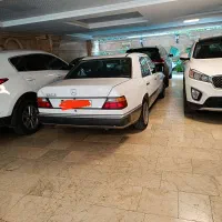 خودرو|خودرو سواری و وانت|رشت, کاکتوس|دیوار