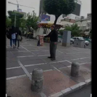 دادزن حرفه ای محدوده شرق نارمک