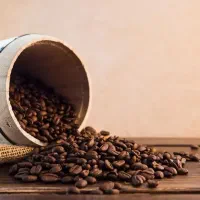 شیراز-جنوبی-20-متر-تجاری