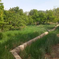 باغچه-300و-500و100متری