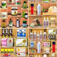 کاسکوشاه طوطی ملنگو راهب گرینچیک عروس هلندی قناری|پرنده|مشهد, هفت تیر (آب و برق)|دیوار