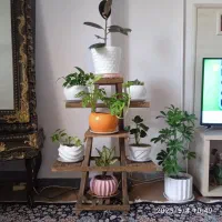 استند چوبی‌گلدان