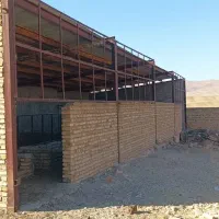 گاوداری ودامداری|فروش زمین و ملک کلنگی|آبگرم, |دیوار