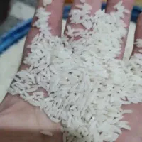 برنج طارم هاشمی.|خوردنی و آشامیدنی|بابکان, |دیوار