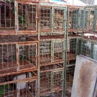 قفس و پایه آهنی