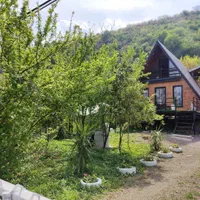 کلبه جنگلی آرسن مالک هستم