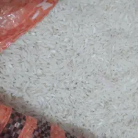 برنج هاشمی شفت|خوردنی و آشامیدنی|رشت, حمیدیان|دیوار