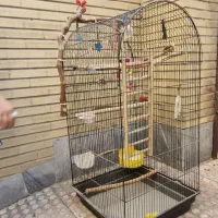 قفس بزرگ طوطی