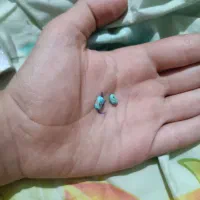 دو تیکه سنگ فیروزه نیشابوری