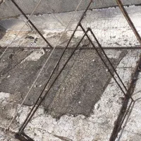 توربمب بزرگ|لوازم جانبی حیوانات|تربت جام, میان جام|دیوار