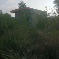 باغ