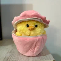 کادو ولنتاین|اسباب‌‌بازی|زنجان, |دیوار