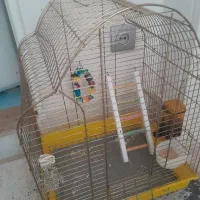 قفس پرنده