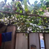 92مترهمکف-باغ-نصرت-مشکین-دشت