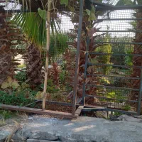 اتاق مزدا ۱۶۰۰|قطعات یدکی و لوازم جانبی|نوکنده, |دیوار