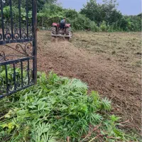 زمین تجاری و گلخانه ای در کوچه ۱۶ متری|فروش زمین و ملک کلنگی|گلوگاه بابل (گلیا), |دیوار