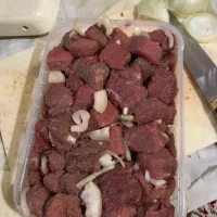 پروتئین منجمد