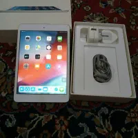 iPad mini2