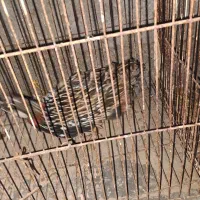 دوراج نیمه رام