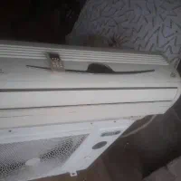 اسپیلت ۳۰ هزار طرح لبخند سالم و در حد