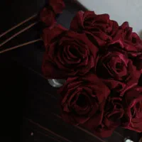 گل روبانی