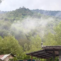 کارگر در پرورش ماهی