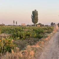 فقط با متری ۲۸۰ میلیون صاحب باغ ۱۰۰۰ متری شوید|فروش دفتر صنعتی، کشاورزی، تجاری|کرج, مهرویلا جنوبی|دیوار