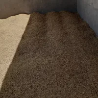 فروش جو