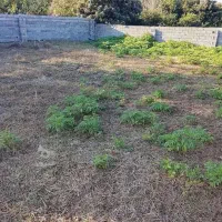 زمین فروشی هم تجاری مسکونی هم کشاورزی