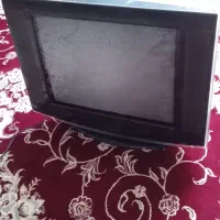 تلویزیون