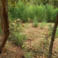 تدریس خصوصی ریاضی و تایپ پایانامه با لاتکس