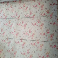 پرده زبرا درحدودنو.