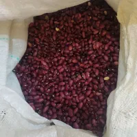 فروش لوبیا قرمز