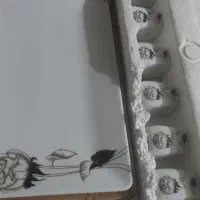 چینی 18 نفره تقدیس