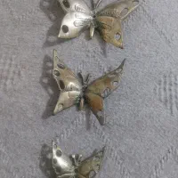 پروانه برنجی