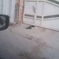 اجاره-مسکونی