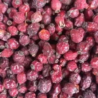 زغال اخته خشک با هسته اعلا وگوشتی درجه یک|خوردنی و آشامیدنی|جلفا, |دیوار