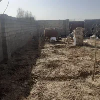 زمین فروشی بابا واستخرسرپوشیده