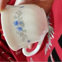 فنجان و نعلبکی آرکوپال فرانسه|ظروف سرو و پذیرایی|مشهد, آبکوه|دیوار