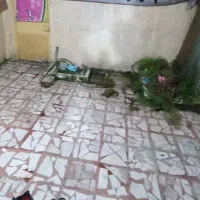 ۸۰متر،تجاری مسکونی،خلافی پرداخت،۱۰ متری بلوارچمران|فروش مغازه و غرفه|رشت, فلسطین|دیوار