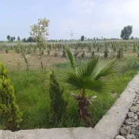 ۱۹۳متر دارای انشعابات سند تک برگ*اقساط