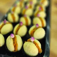 خانم مدیریت و فروشندگی قنادی