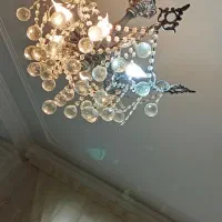 دوعددلوستربرنز۶شاخه سالم