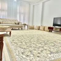 خانوم جهت نظافت در منزل