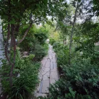 باغ3000متری-درجه-یک-سند-شش-دانگ-عرصه-عیان