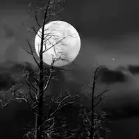 اجاره