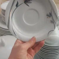 سرویس چینی توس ۸۱ پارچه|ظروف سرو و پذیرایی|بومهن, |دیوار